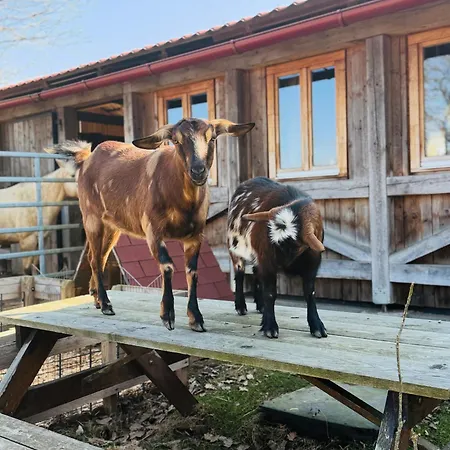 Na Ranci Pod Lovosem Apartment Velemin